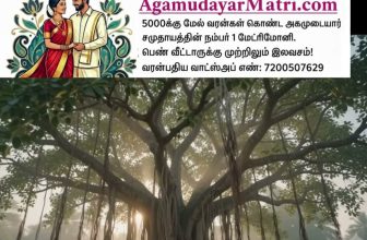 அகமுடையார் உறவுகள் அனைவருக்கும் ஆடி அமாவாசை நல்வாழ்த்துக்கள்!

விளம்பரம்: 
அகமுட…