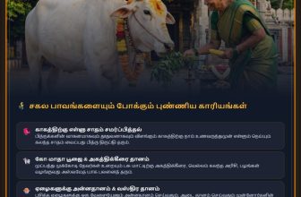புரட்டாசி மகாளய அமாவாசை — பித்ரு பிரீதி தரும் 3 மகா தானங்கள்! 
━━━━━━━━━━━━━━━━…