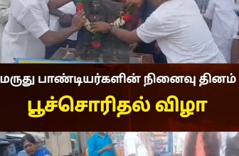 மருது பாண்டியர்களின் நினைவு நாள் முளைப்பாரி பால்குட விழா 
#thiruppathurnews #thi…