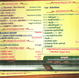 கீரமங்கலம்  சேர்வைக்காரர் – அகம்படியர் முதல் கரைக்காரர் சேவி புஞ்சை————…