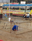 இன்று காலையில்  மருது பாண்டியருக்கு ஒரு  பெண்மணி அஞ்சலி செலுத்திய போது வேலூர் மா…