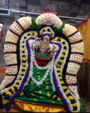 இன்று திருவாலங்காடு ஸ்ரீ பத்ரகாளியம்மன் ஆடி திருவிழாவை ஒட்டி திருவலாங்காடு துளுவ…