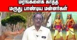 மருது பாண்டியரின் சூழல் காப்பு – புதுக்கோட்டை திருப்பதி I மருதுபாண்டியர் I I EIA I சுற்றுச்சூழல்