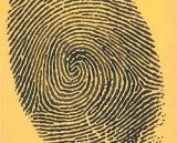 யாருக்கோ வைத்த ஆப்பில்  தானாகவே  தேடிப்போய் உட்காரும் தென் தமிழக மற்றும் கொங்க்க…