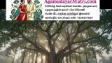 அகமுடையார் உறவுகள் அனைவருக்கும் ஆடி அமாவாசை நல்வாழ்த்துக்கள்!

விளம்பரம்: 
அகமுட…
