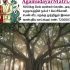 மாமன்னர்கள் மருதுபாண்டியர்களுக்கு சிலை வைக்க எத்தனை வருடம்   அகமுடையார் சமுதாயம்…
